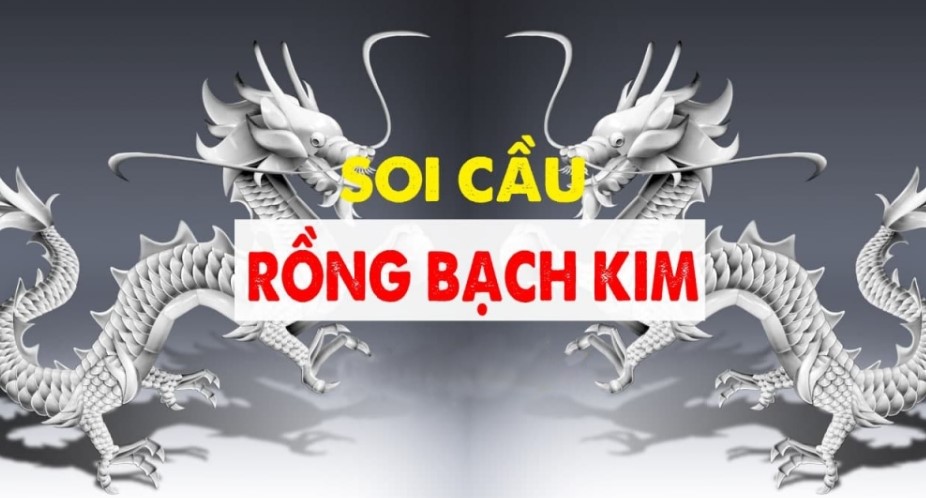 Công cụ hỗ trợ soi cầu Rồng bạch kim tại Kubet phổ biến