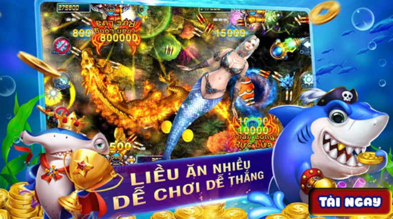 Đôi điều về bắn cá Bingo tại Kubet